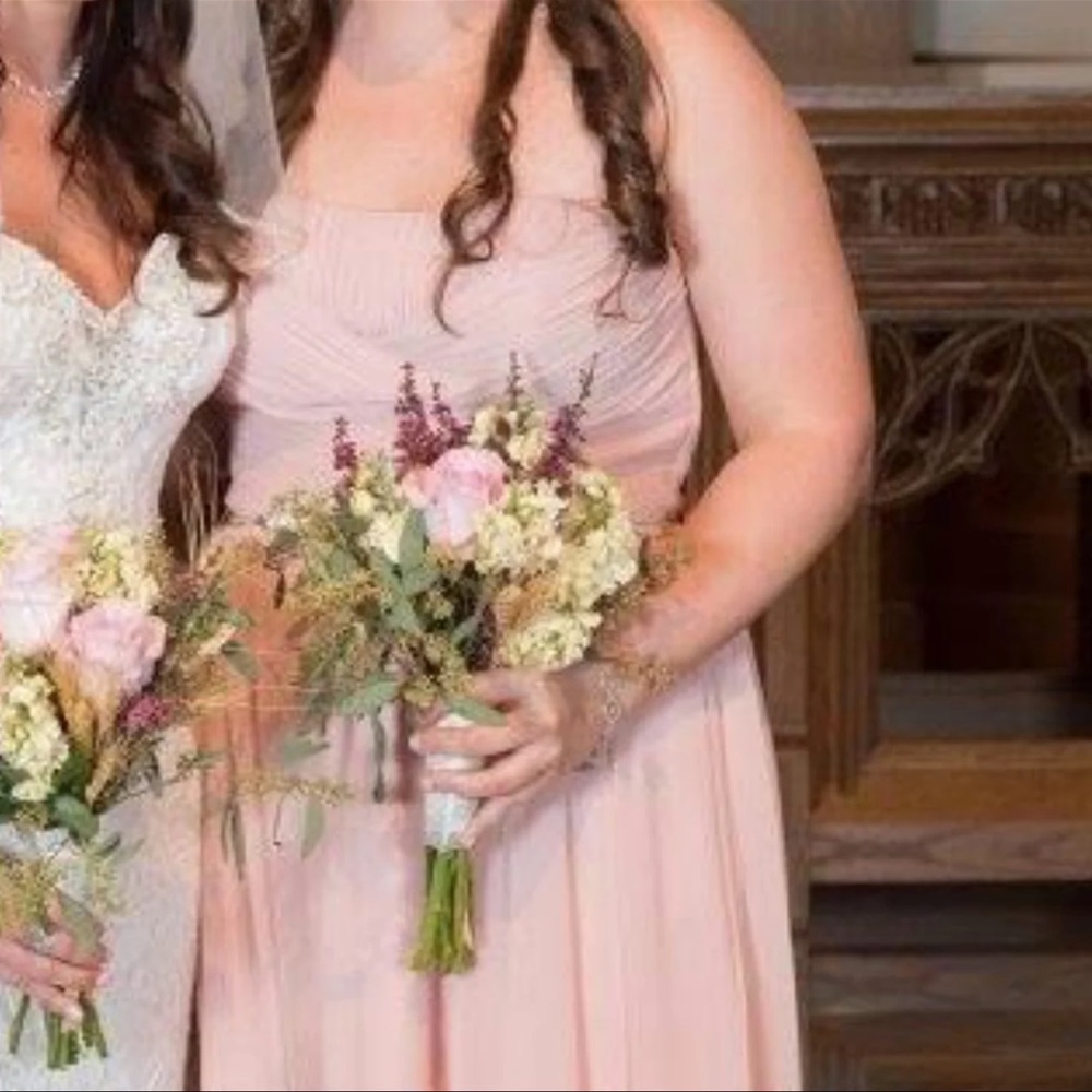 Bari Jay Pale Pink Dress